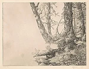 The Northern Shore