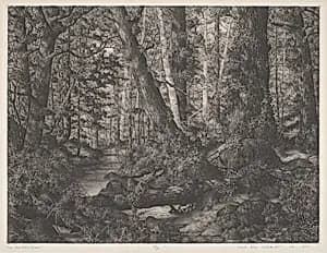 The Northern Shore