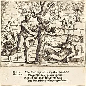 The Temptation of Eve by Augustin Hirschvogel