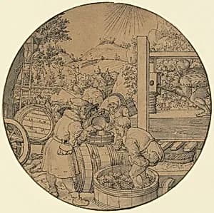 The Wine Harvest (September)