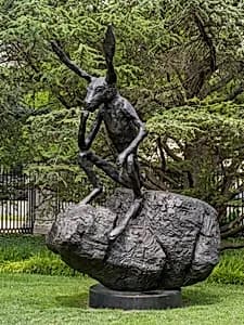 Thinker on a Rock