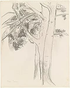 Portrait of Rhys Caparn