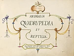 Title Page by Joris Hoefnagel
