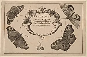 Title Page by Wenceslaus Hollar