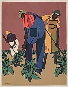 Tobacco Farmers