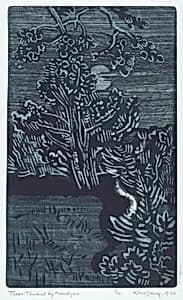 Trees Touched by Moonlight