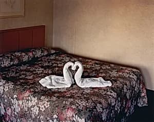 Portrait of Alec Soth