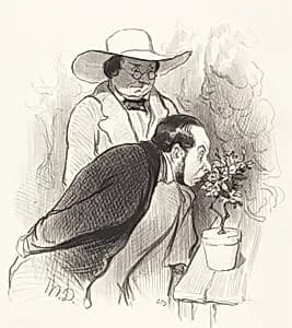 Un Triomphe de botaniste by Honoré Daumier