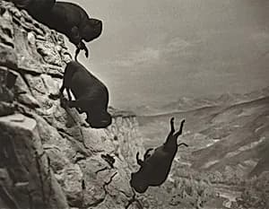 Untitled (Falling Buffalos)