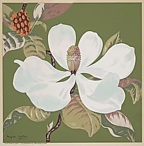Untitled (Flower)