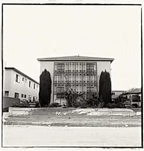Untitled, from the series Dingbat