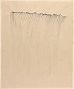 Portrait of Carmel Buckley