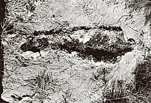 Portrait of Ana Mendieta