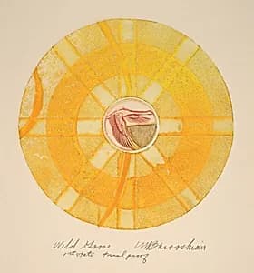 Wild Goose