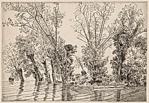 Willows of the Mottiaux Islands by Félix Bracquemond