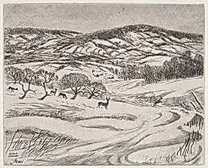 Wintry Fields