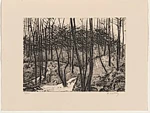Wissahickon Landscape