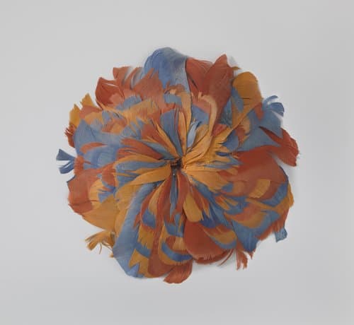 Kokarde van veren in de kleuren oranje en blauw in de vorm van een rozet by anonymous