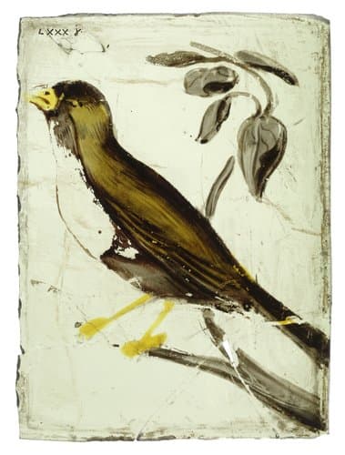 Ruit met een vogel op een tak by anonymous