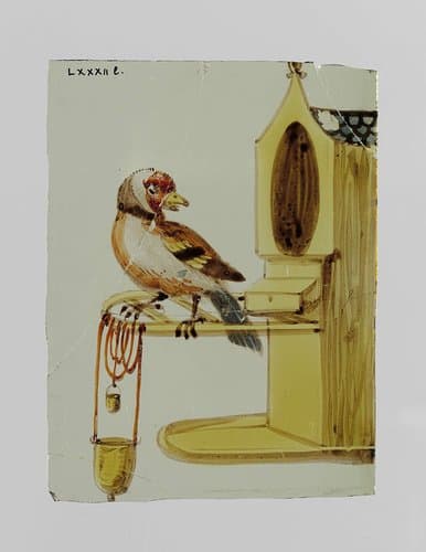 Ruit met een vogel voor een vogelhuisje by anonymous