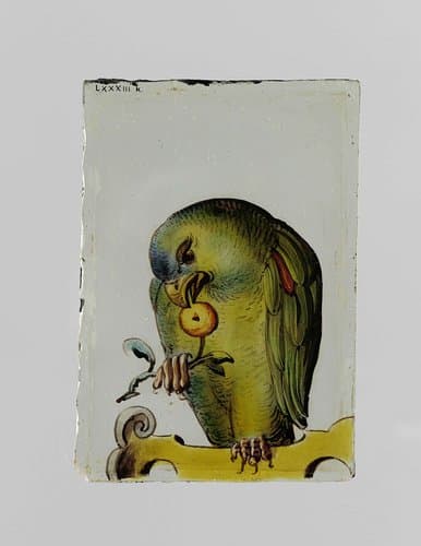 Ruit met een vogel die een kers eet by anonymous