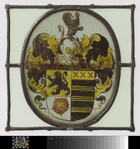 Ruit met wapenschild met klimmende leeuw als helmteken by anonymous