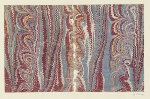 Spiraalkammarmer in rood, geel, blauw en groen by anonymous