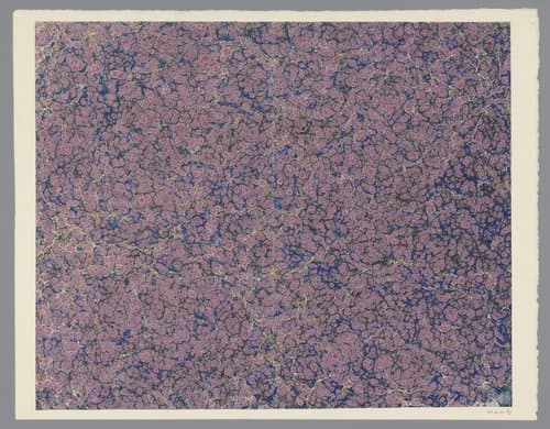 Ringkiezelmarmer in roze, blauw, geel en zwart by anonymous