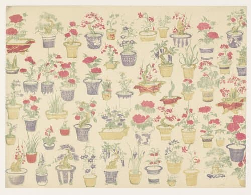 Patroon van potten met verschillende planten by anonymous