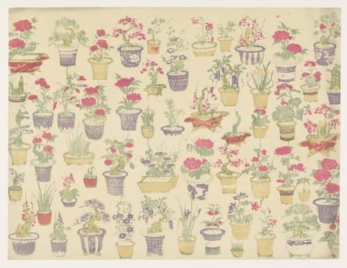 Patroon van potten met verschillende planten by anonymous