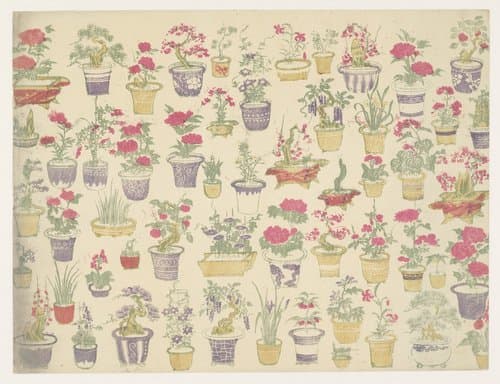 Patroon van potten met verschillende planten by anonymous