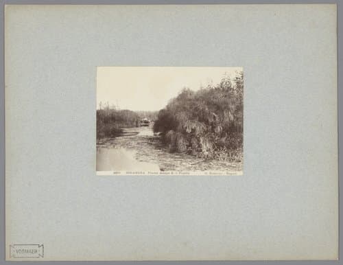 Fiume Anapo & il Papiro by Giorgio Sommer