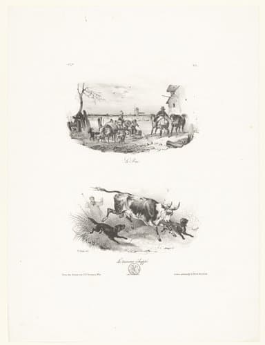 Le taureau échappé by Victor Adam
