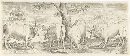Dieren