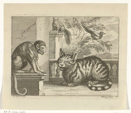 Verschillende dieren