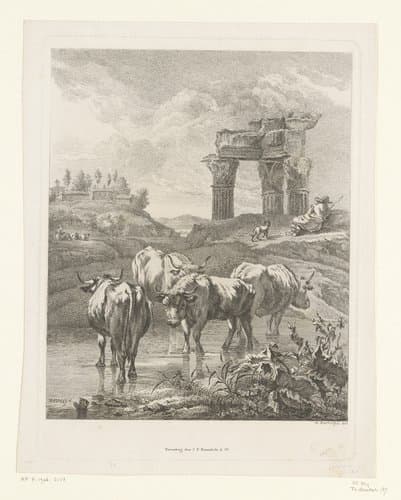 Vier ossen in een beek by Adam von Bartsch