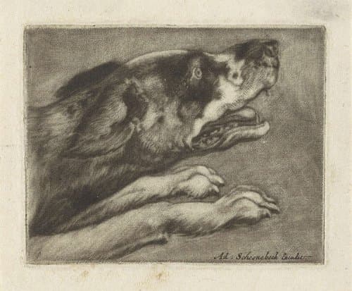 Kop en voorpoten van een blaffende hond by anonymous