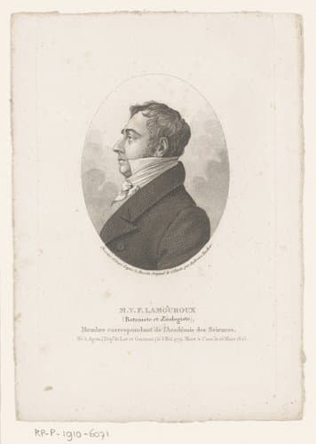 Compleet overzicht van beroemdheden by Ambroise Tardieu