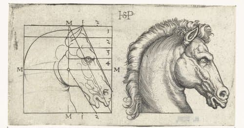 Paardenhoofd en tekening in schema volgens proportieleer by Hans Sebald Beham