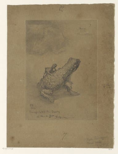 Twee aanzichten van een bronzen inktpot in de vorm van een pad by Félix Hilaire Buhot