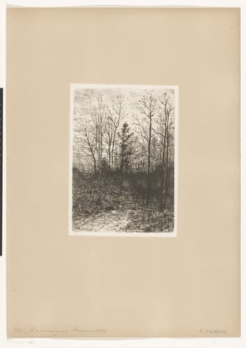 Bosgezicht by Karl Buchholz