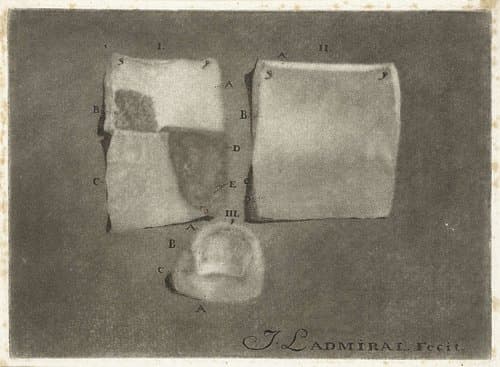 Anatomische studie van menselijke huid en nagel by Jan l'Admiral