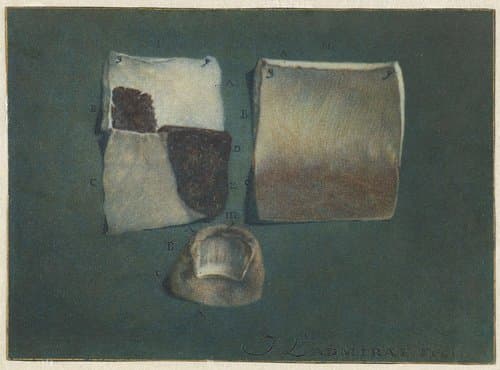 Anatomische studie van menselijke huid en nagel by Jan l'Admiral