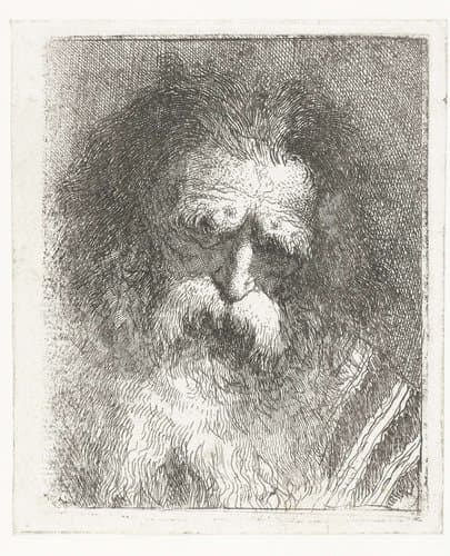 Verzameling hoofden by Giovanni Domenico Tiepolo