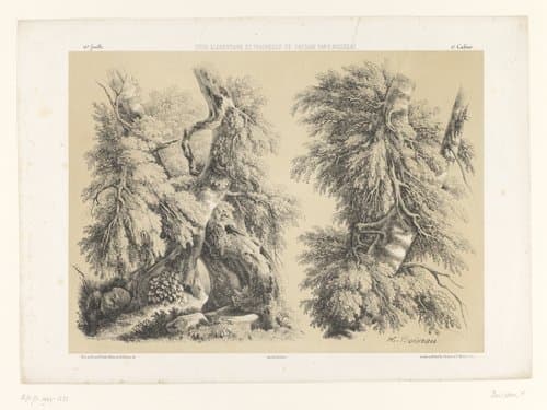 Twee studies van bomen met gebladerte by Henri Boisseau