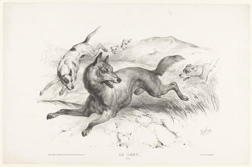 Le loup by Victor Adam