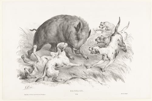 Sanglier by Victor Adam
