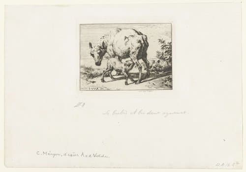 Schaap of ooi met twee lammeren by Charles Meryon