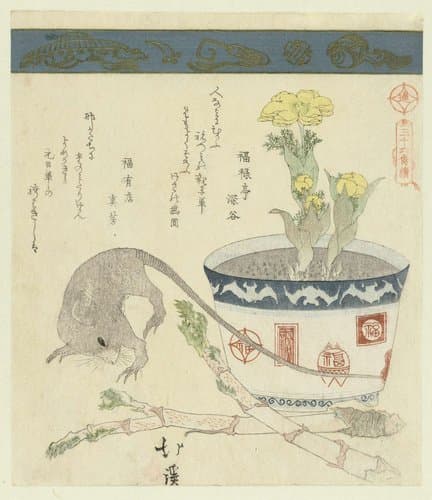 Een serie van zesendertig vogels by Totoya Hokkei