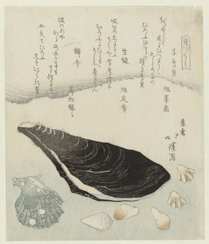 Een serie van schelpen by Totoya Hokkei